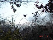Zack Mitchell's Photo