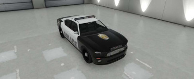 Police Cruiser Buffalo