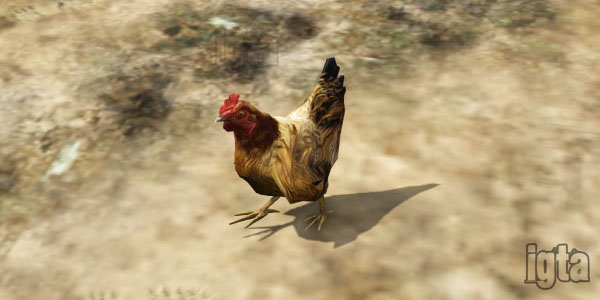 GTA 5 Chickens
