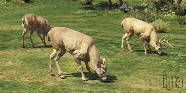 GTA 5 Elks/Deer