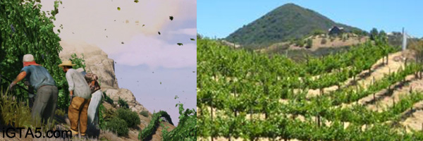 Vineyards and wineries of Malibu