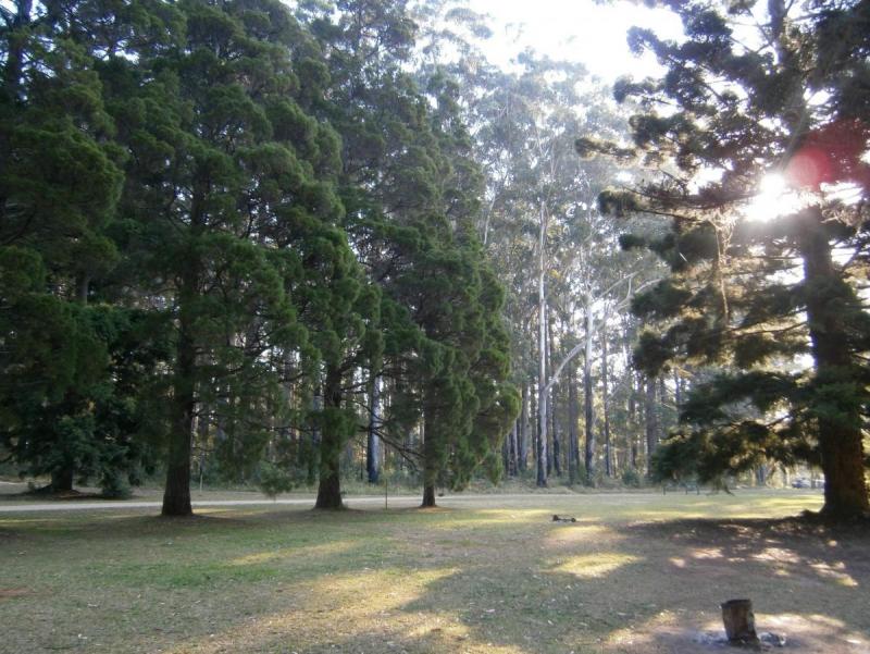 post-22448-0-18432600-1392872259_thumb.j