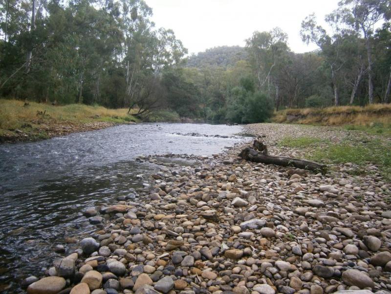 post-22448-0-43393000-1392872312_thumb.j