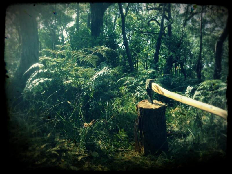 post-22448-0-48428600-1392872148_thumb.j