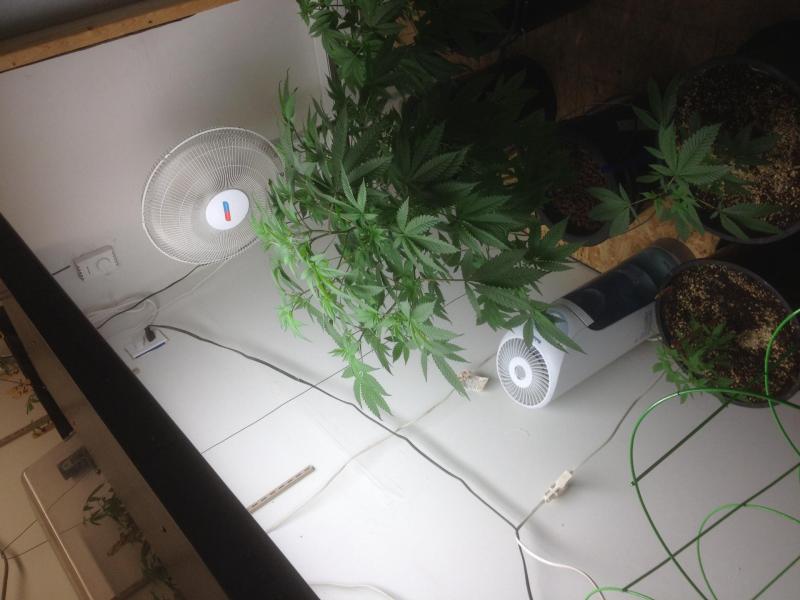 post-2310-0-84290400-1437276144_thumb.jp