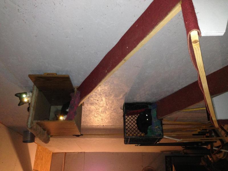 post-2310-0-08286000-1445834964_thumb.jp