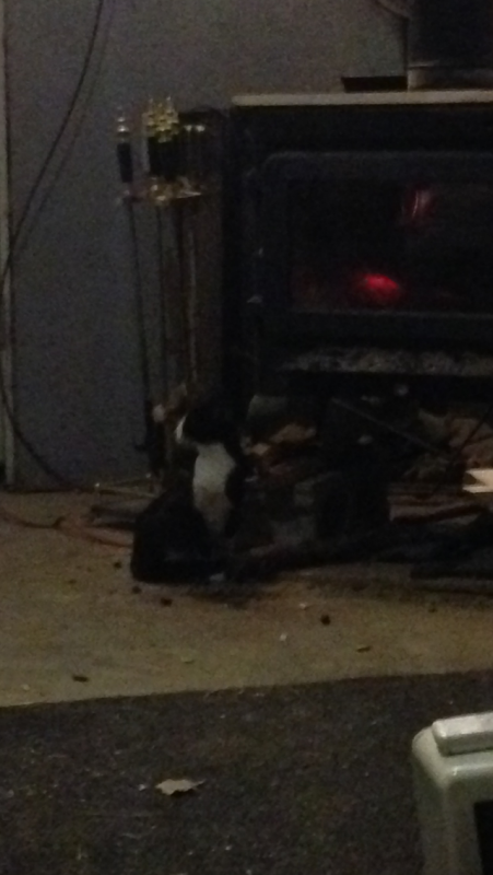 post-2310-0-13142300-1445213331_thumb.pn