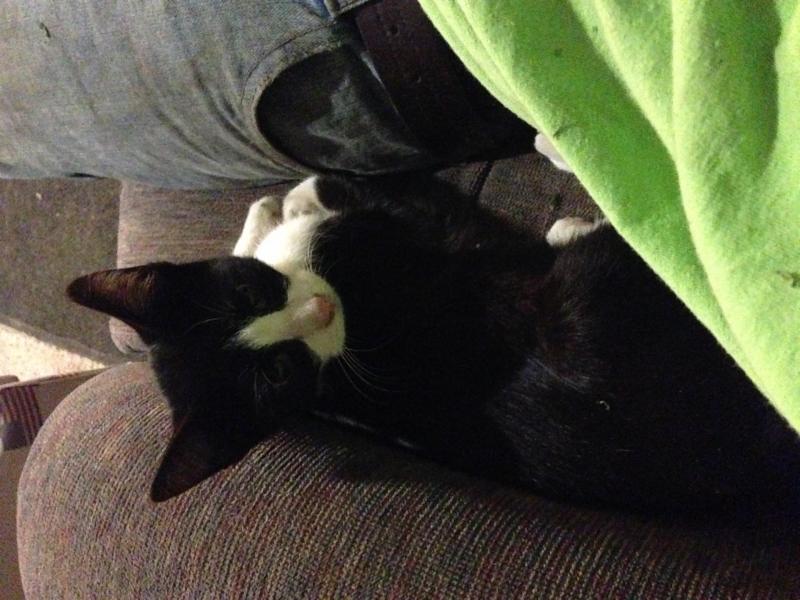 post-2310-0-60574000-1445141880_thumb.jp