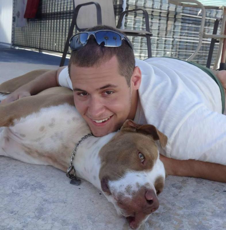 post-8382-0-22618000-1383319387_thumb.jp