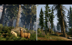 gencompare theforest