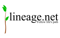 gta v fake advertisement lineage net