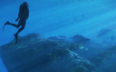 official screenshot beaches and watersports 2