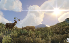 official screenshot deer grazing in a field