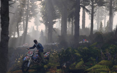 official screenshot pc trevor in the woods