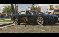 trailer 2 dont hit the dog