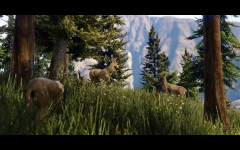 trailer 5 cougar moves in