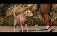 trailer 6 good to see you dawg