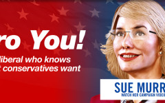 vote sue murry