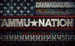 website ammunation05