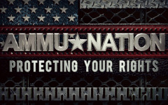 website ammunation12