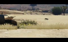 website blainecounty08