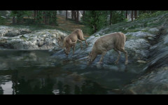 website blainecounty15