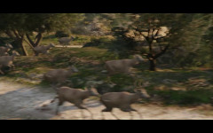 website blainecounty17