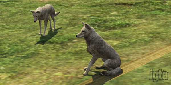 GTA 5 Coyotes