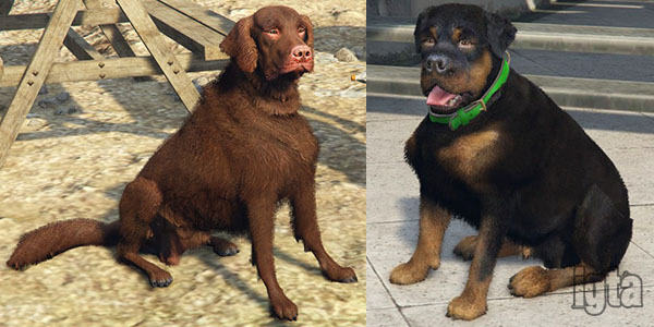 GTA 5 Dogs Old-Gen