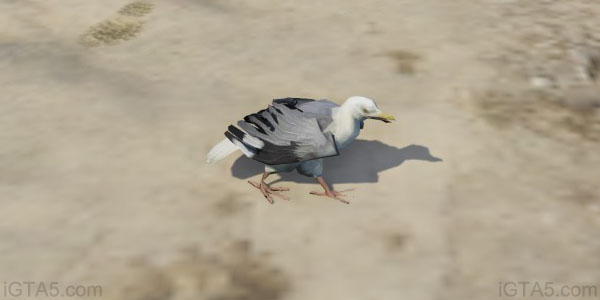 GTA 5 Seagulls